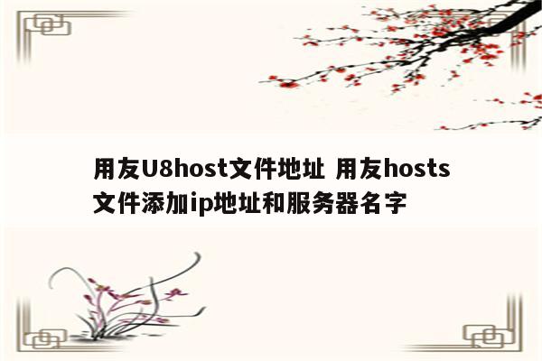 用友U8host文件地址 用友hosts文件添加ip地址和服务器名字