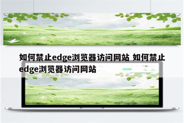 如何禁止edge浏览器访问网站 如何禁止edge浏览器访问网站