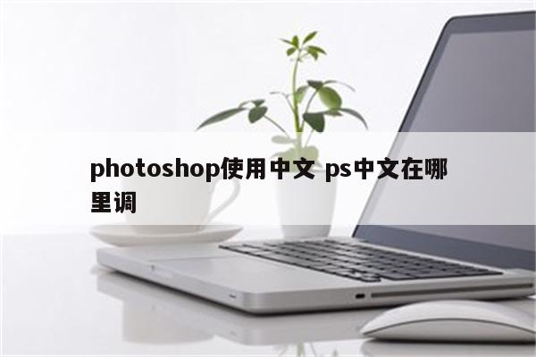 photoshop使用中文 ps中文在哪里调