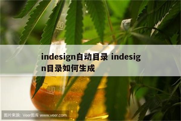 indesign自动目录 indesign目录如何生成