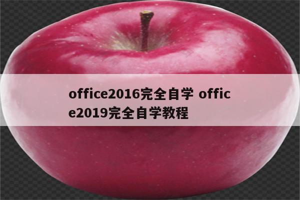 office2016完全自学 office2019完全自学教程