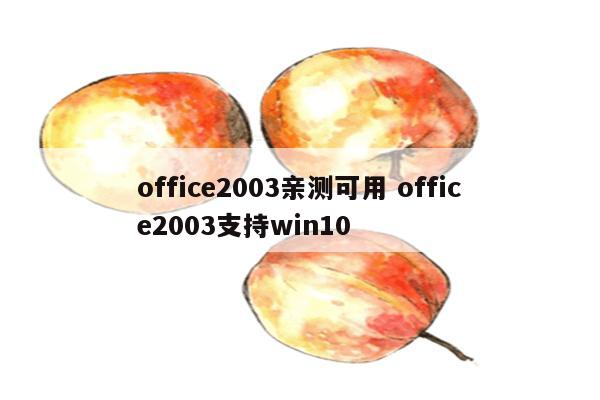 office2003亲测可用 office2003支持win10