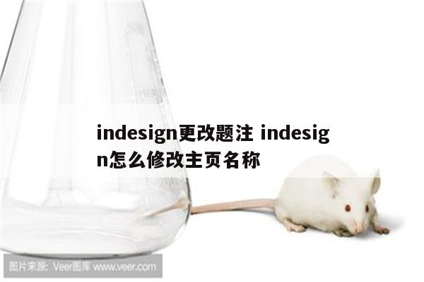 indesign更改题注 indesign怎么修改主页名称