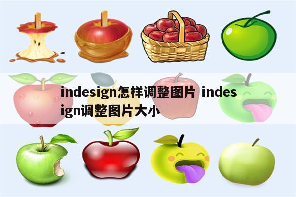 indesign怎样调整图片 indesign调整图片大小