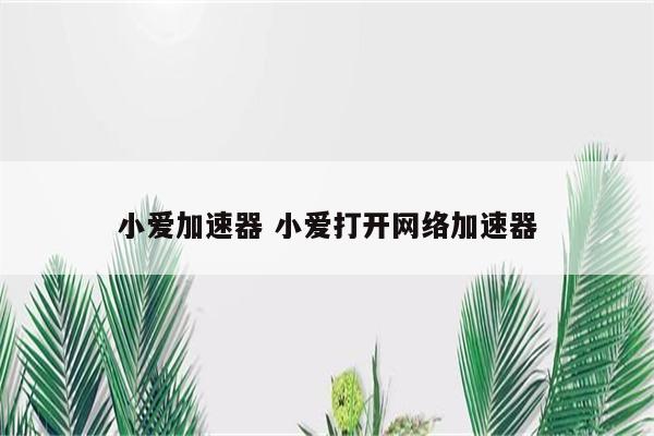 小爱加速器 小爱打开网络加速器