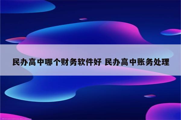 民办高中哪个财务软件好 民办高中账务处理