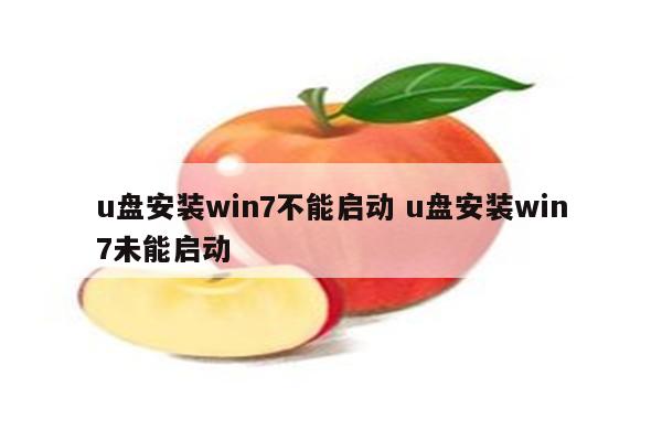 u盘安装win7不能启动 u盘安装win7未能启动