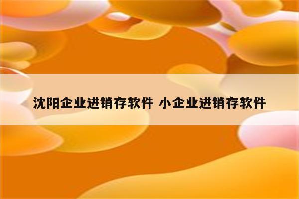 沈阳企业进销存软件 小企业进销存软件