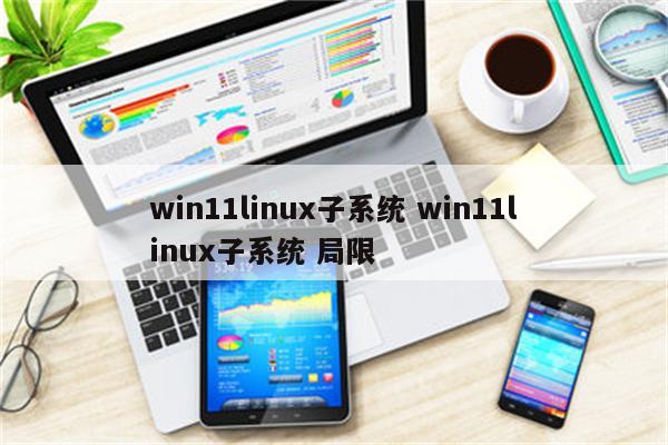 win11linux子系统 win11linux子系统 局限