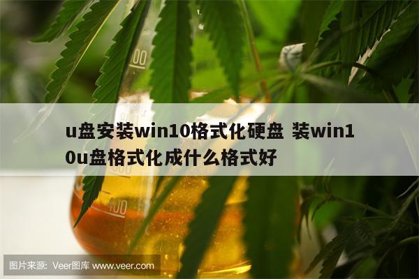 u盘安装win10格式化硬盘 装win10u盘格式化成什么格式好