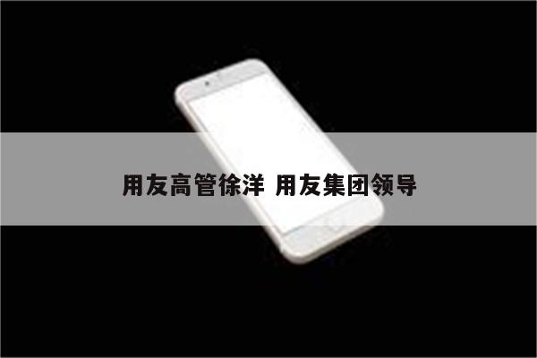 用友高管徐洋 用友集团领导