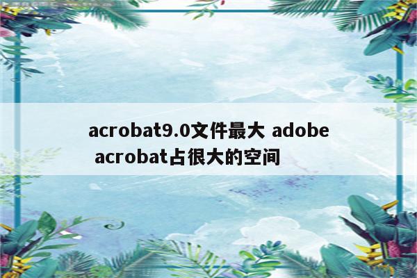 acrobat9.0文件最大 adobe acrobat占很大的空间