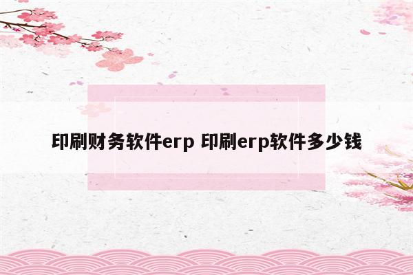 印刷财务软件erp 印刷erp软件多少钱