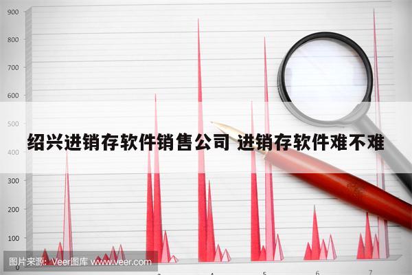 绍兴进销存软件销售公司 进销存软件难不难