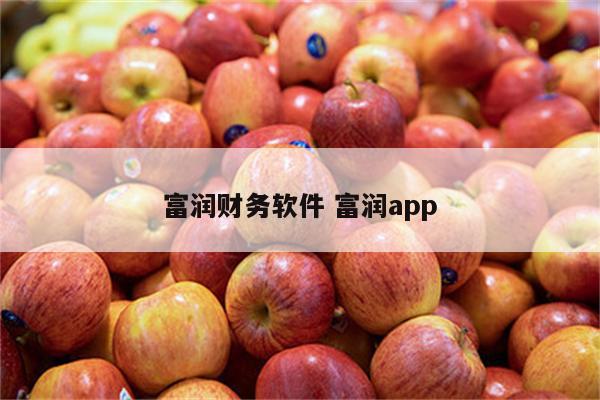 富润财务软件 富润app