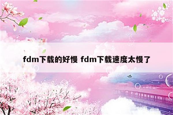 fdm下载的好慢 fdm下载速度太慢了