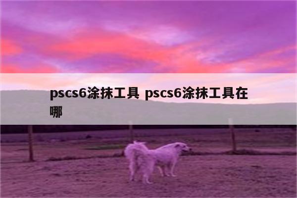 pscs6涂抹工具 pscs6涂抹工具在哪