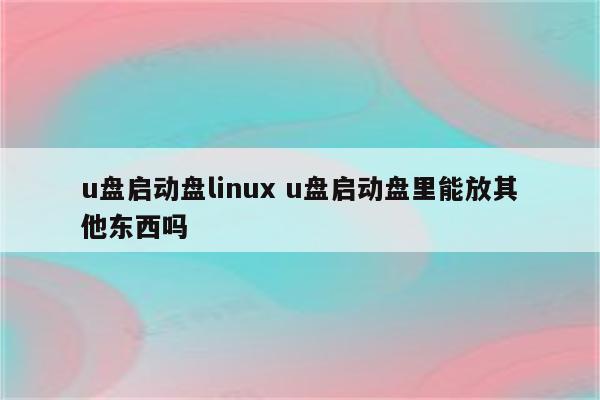 u盘启动盘linux u盘启动盘里能放其他东西吗