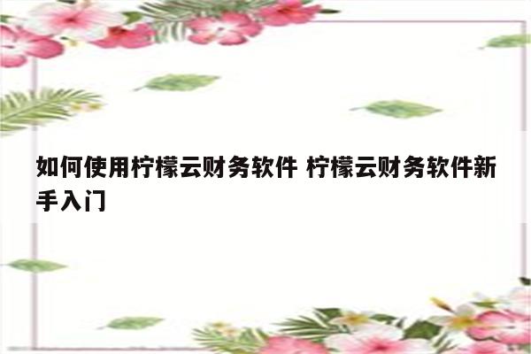 如何使用柠檬云财务软件 柠檬云财务软件新手入门