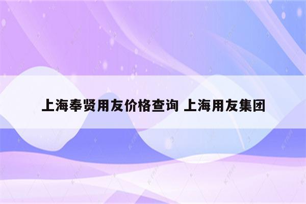 上海奉贤用友价格查询 上海用友集团