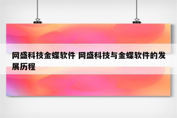 网盛科技金蝶软件 网盛科技与金蝶软件的发展历程