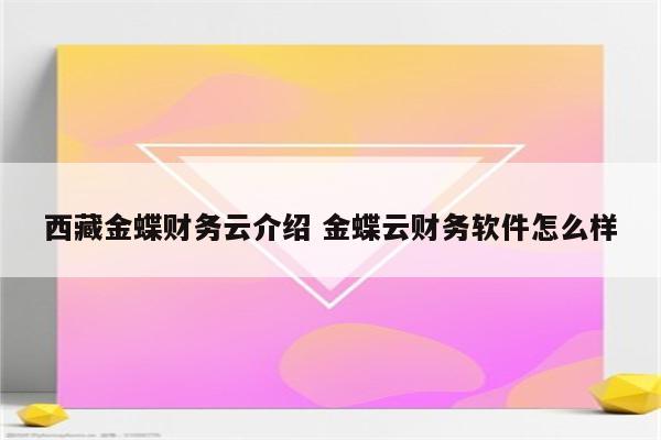 西藏金蝶财务云介绍 金蝶云财务软件怎么样