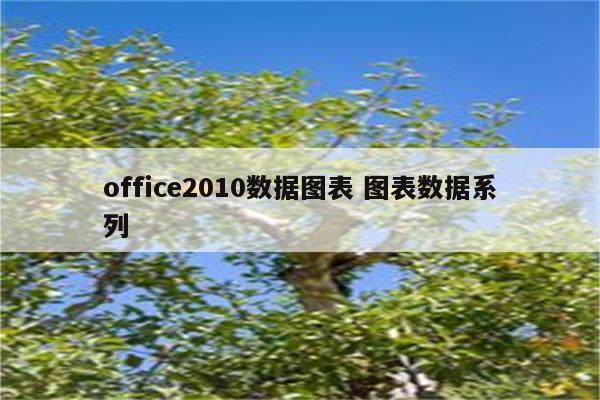 office2010数据图表 图表数据系列