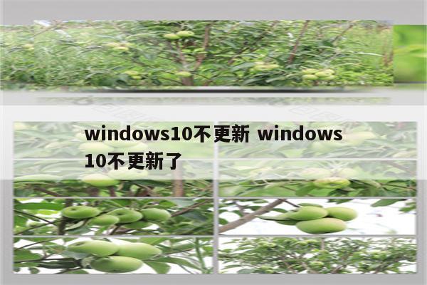 windows10不更新 windows10不更新了