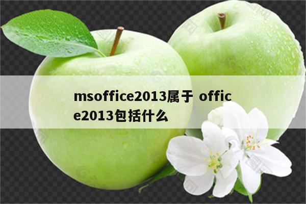 msoffice2013属于 office2013包括什么