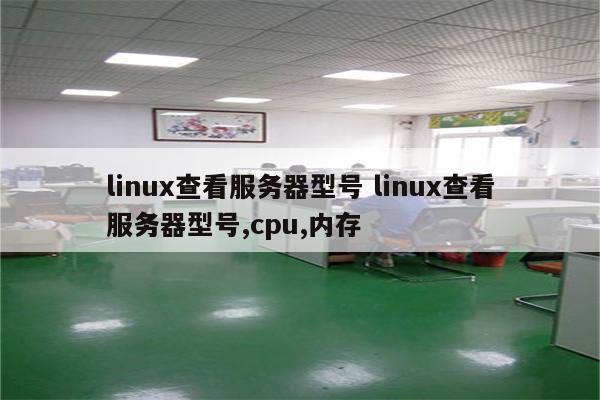 linux查看服务器型号 linux查看服务器型号,cpu,内存