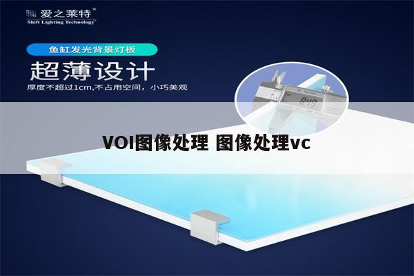 VOI图像处理 图像处理vc