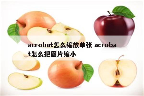 acrobat怎么缩放单张 acrobat怎么把图片缩小