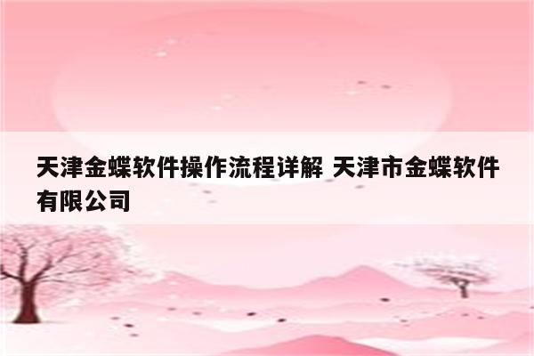 天津金蝶软件操作流程详解 天津市金蝶软件有限公司