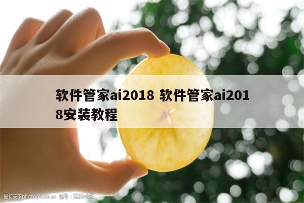 软件管家ai2018 软件管家ai2018安装教程