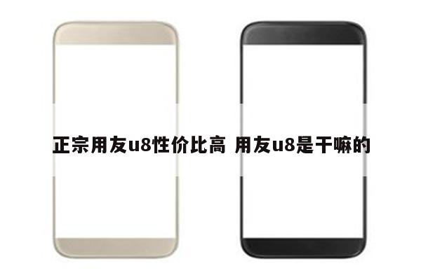 正宗用友u8性价比高 用友u8是干嘛的