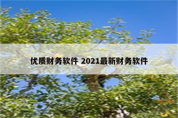 优质财务软件 2021最新财务软件