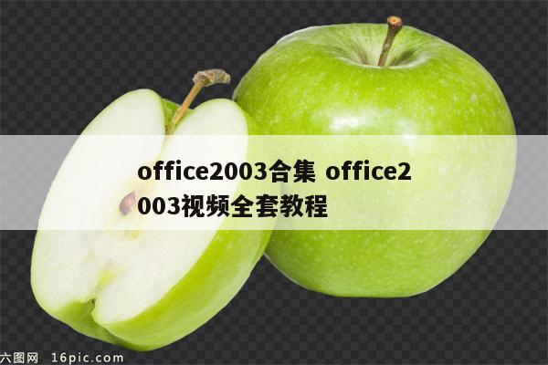 office2003合集 office2003视频全套教程