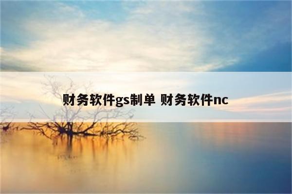 财务软件gs制单 财务软件nc