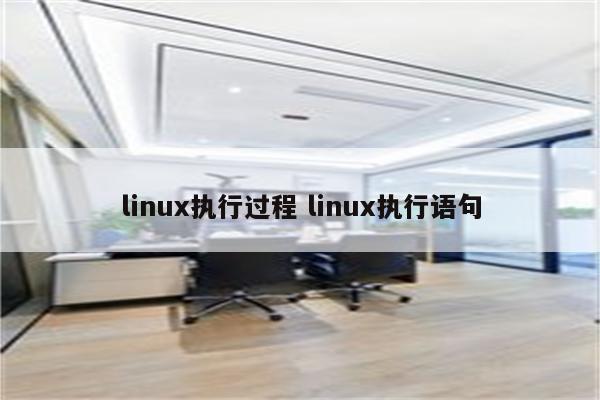 linux执行过程 linux执行语句