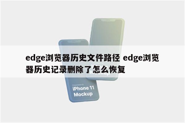 edge浏览器历史文件路径 edge浏览器历史记录删除了怎么恢复