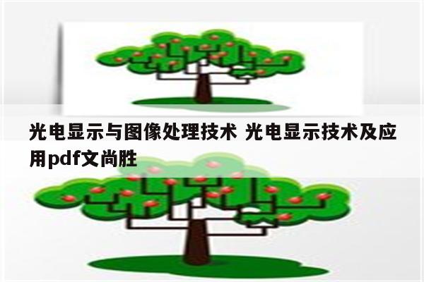 光电显示与图像处理技术 光电显示技术及应用pdf文尚胜