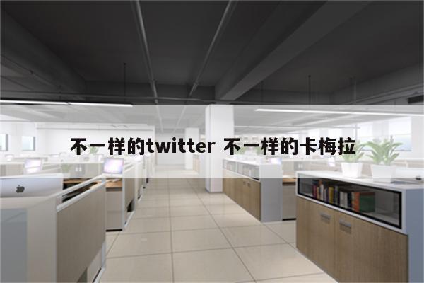 不一样的twitter 不一样的卡梅拉