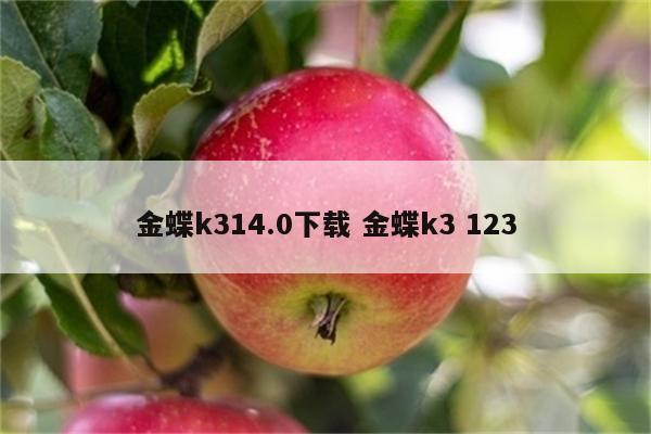 金蝶k314.0下载 金蝶k3 123