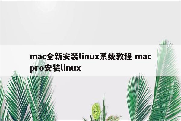 mac全新安装linux系统教程 macpro安装linux