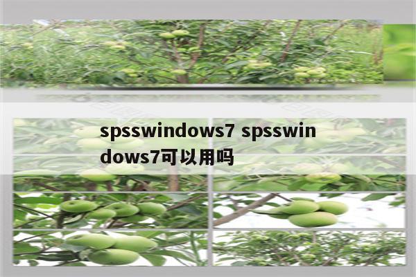 spsswindows7 spsswindows7可以用吗