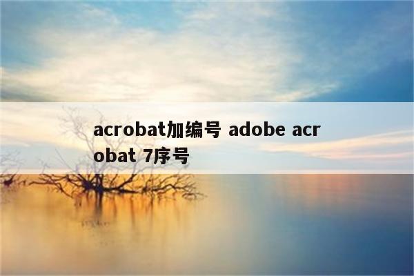 acrobat加编号 adobe acrobat 7序号