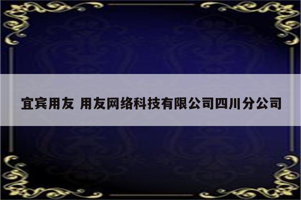 宜宾用友 用友网络科技有限公司四川分公司