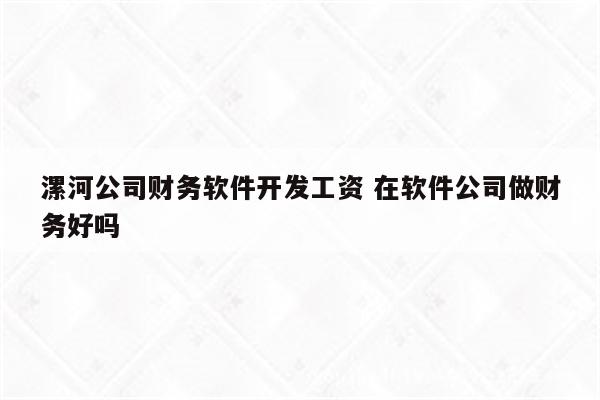 漯河公司财务软件开发工资 在软件公司做财务好吗