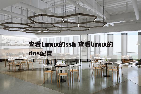 查看Linux的ssh 查看linux的dns配置