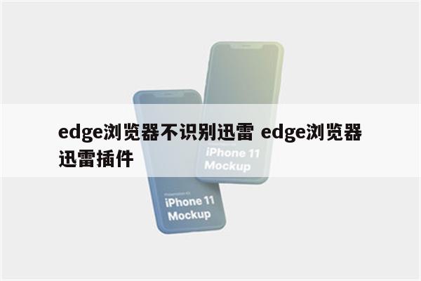 edge浏览器不识别迅雷 edge浏览器迅雷插件